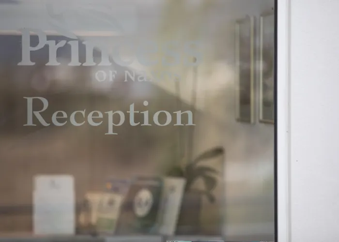 Princess Of Naxos Отель Naxos City