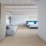 Hotel Princess Of Naxos